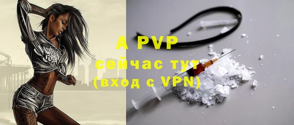 PSILOCYBIN Зеленодольск