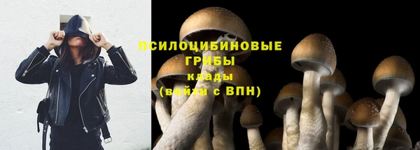 2c-b Зерноград