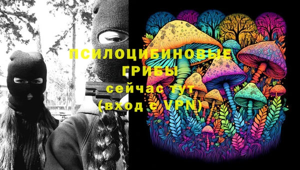 ешки Зеленокумск