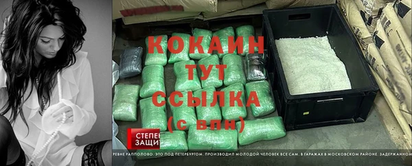 PSILOCYBIN Зеленодольск
