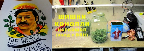PSILOCYBIN Зеленодольск