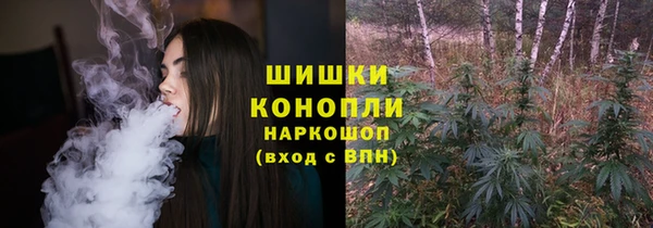PSILOCYBIN Зеленодольск