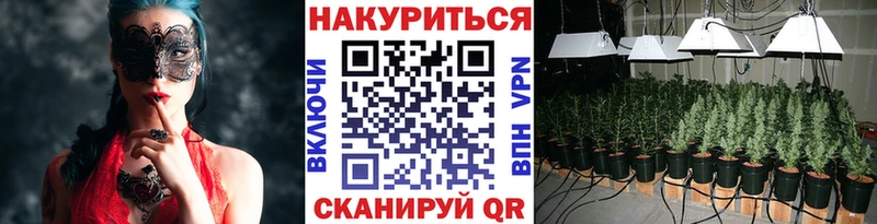 Купить Дмитровск Бошки марихуана VHQ